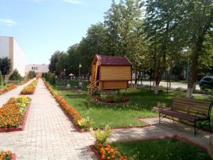 Территория колледжа КГАТК