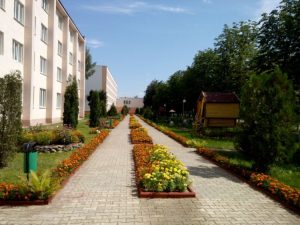 Кличевский колледж территория